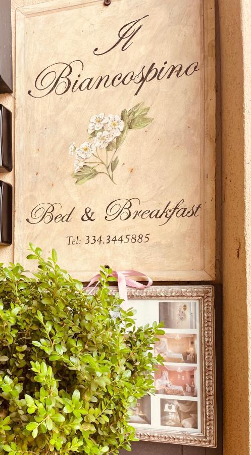 B&B Il Biancospino Abbadia San Salvator Exterior photo